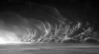 Witness!《疯狂的麦克斯4：狂暴之路》黑色电镀版（Mad Max: Fury Road Black & Chrome）