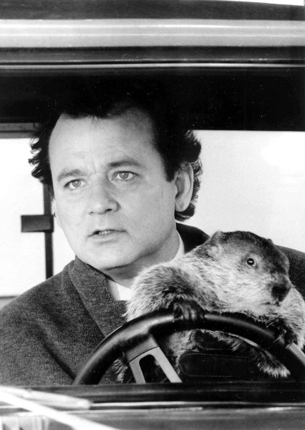 土拨鼠之日 groundhog day(1993,哈罗德·雷米斯